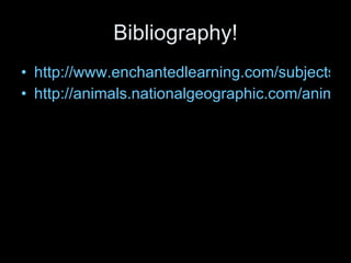Bibliography! http://www.enchantedlearning.com/subjects/whales/species/Narwhal.shtml http://animals.nationalgeographic.com/animals/mammals/narwhal.html 