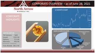 CORPORATE OVERVIEW – as of June 28, 2021
CORPORATE
HIGHLIGHTS
3
CAPITALIZATION
TSX Venture NAR
Issued: 120.9 M
Options: 11.4 M
Warrants: 49.0 M
Fully diluted: 181.3 M
(25 M @ $0.225, 17.9 M @ $0.10)
MAIN SHAREHOLDERS Management/ Directors/
Advisors
29%
Zebra Holdings and
Investments
9%
Electrum Strategic
Opportunities
10%
Ross Beaty
9%
Float
43%
12 MONTH CHART
 