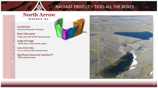 <3:1 vs >10:1 for NWT diamond mines
~48 Mt down to 205m below surface
~26M contained carats
Freight costs 50% of NWT diamond mines
Clear permitting path in Nunavut
NAUJAAT PROJECT – TICKS ALL THE BOXES
✓ Jurisdiction
✓ Near tide water
✓ Large tonnage
✓ Low strip ratio
✓ Significant diamond inventory*
~700m
~200m
9
 