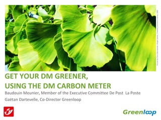 GET YOUR DM GREENER,  USING THE DM CARBON METER ,[object Object],[object Object],Picture by Chris Gierszewski,  Gingko leaves , Creative Commons License, 2005 