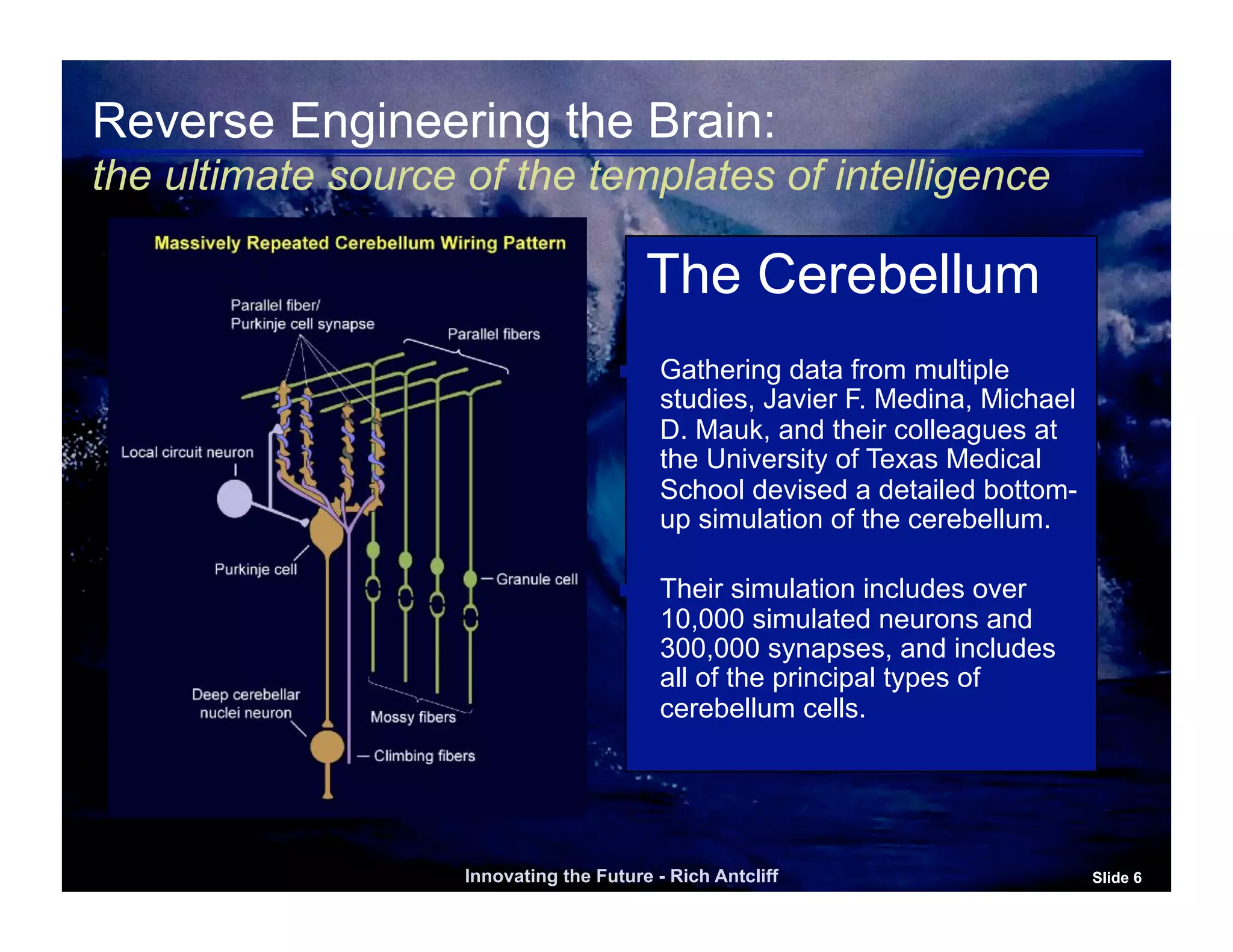 Reverse Engineering the Brain:
the ultimate source of the templates of intelligence

                                           The Cerebellum
                                          Gathering data from multiple
                                           studies, Javier F. Medina, Michael
                                           D. Mauk, and their colleagues at
                                           the University of Texas Medical
                                           School devised a detailed bottom-
                                           up simulation of the cerebellum.

                                          Their simulation includes over
                                           10,000 simulated neurons and
                                           300,000 synapses, and includes
                                           all of the principal types of
                                           cerebellum cells.




                    Innovating the Future - Rich Antcliff                       Slide 6
 