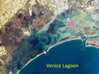 Venice Lagoon
 