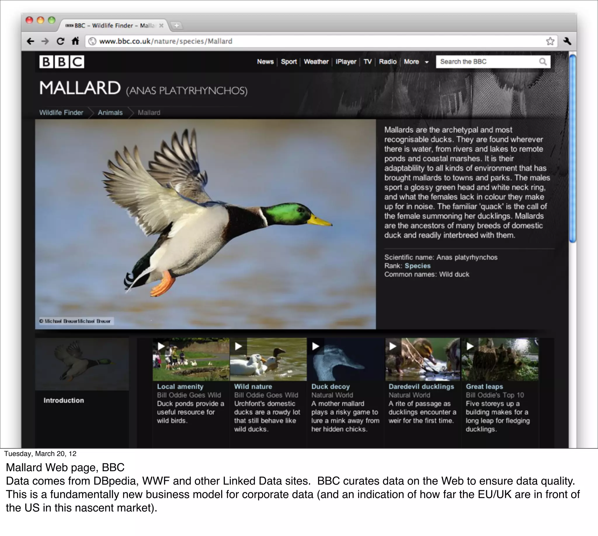 Tuesday, March 20, 12

Mallard Web page, BBC
Data comes from DBpedia, WWF and other Linked Data sites. BBC curates data on the Web to ensure data quality.
This is a fundamentally new business model for corporate data (and an indication of how far the EU/UK are in front of
the US in this nascent market).
 