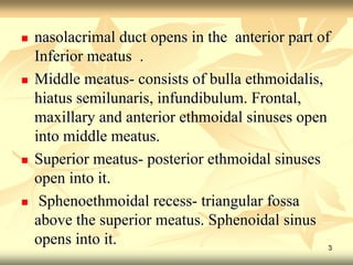  nasolacrimal duct opens in the anterior part of 
Inferior meatus . 
 Middle meatus- consists of bulla ethmoidalis, 
hiatus semilunaris, infundibulum. Frontal, 
maxillary and anterior ethmoidal sinuses open 
into middle meatus. 
 Superior meatus- posterior ethmoidal sinuses 
open into it. 
 Sphenoethmoidal recess- triangular fossa 
above the superior meatus. Sphenoidal sinus 
opens into it. 
3 
 