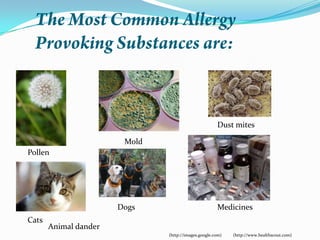 Dander Definition Nasal allergy | PPTX