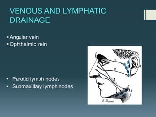 VENOUS AND LYMPHATIC
DRAINAGE
§Angular vein
§Ophthalmic vein
• Parotid lymph nodes
• Submaxillary lymph nodes
 