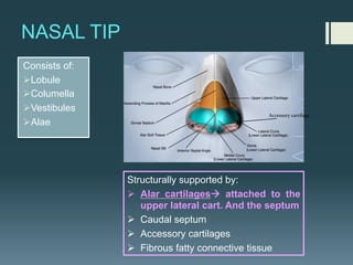 Nasal_Anatomy.pdf