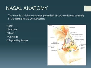 NASAL ANATOMY
The nose is a highly contoured pyramidal structure situated centrally
in the face and it is composed by:
üSkin
üMucosa
üBone
üCartilage
üSupporting tissue
 