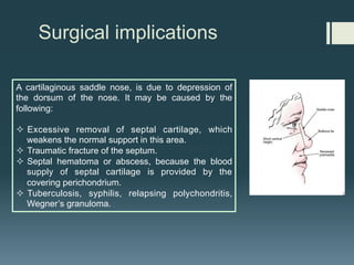 Surgical implications
A cartilaginous saddle nose, is due to depression of
the dorsum of the nose. It may be caused by the
following:
² Excessive removal of septal cartilage, which
weakens the normal support in this area.
² Traumatic fracture of the septum.
² Septal hematoma or abscess, because the blood
supply of septal cartilage is provided by the
covering perichondrium.
² Tuberculosis, syphilis, relapsing polychondritis,
Wegner’s granuloma.
 