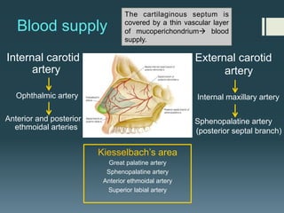 Blood supply
Internal carotid
artery
Ophthalmic artery
Anterior and posterior
ethmoidal arteries
External carotid
artery
Internal maxillary artery
Sphenopalatine artery
(posterior septal branch)
Kiesselbach’s area
Great palatine artery
Sphenopalatine artery
Anterior ethmoidal artery
Superior labial artery
	
  
The cartilaginous septum is
covered by a thin vascular layer
of mucoperichondriumà blood
supply.
 