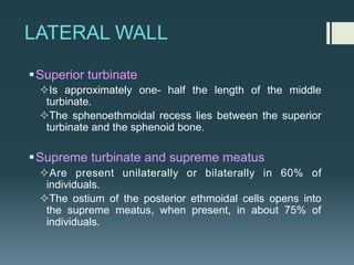 LATERAL WALL
§Superior turbinate
²Is approximately one- half the length of the middle
turbinate.
²The sphenoethmoidal recess lies between the superior
turbinate and the sphenoid bone.
§Supreme turbinate and supreme meatus
²Are present unilaterally or bilaterally in 60% of
individuals.
²The ostium of the posterior ethmoidal cells opens into
the supreme meatus, when present, in about 75% of
individuals.
 