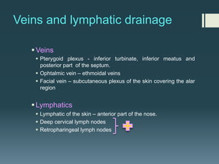 Veins and lymphatic drainage
§Veins
§ Pterygoid plexus - inferior turbinate, inferior meatus and
posterior part of the septum.
§ Ophtalmic vein – ethmoidal veins
§ Facial vein – subcutaneous plexus of the skin covering the alar
region
§Lymphatics
§ Lymphatic of the skin – anterior part of the nose.
§ Deep cervical lymph nodes
§ Retropharingeal lymph nodes
 