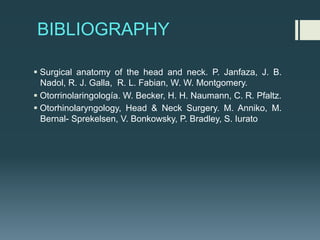 BIBLIOGRAPHY
§ Surgical anatomy of the head and neck. P. Janfaza, J. B.
Nadol, R. J. Galla, R. L. Fabian, W. W. Montgomery.
§ Otorrinolaringología. W. Becker, H. H. Naumann, C. R. Pfaltz.
§ Otorhinolaryngology, Head & Neck Surgery. M. Anniko, M.
Bernal- Sprekelsen, V. Bonkowsky, P. Bradley, S. Iurato
 