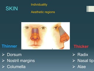 SKIN
Ø Dorsum
Ø Nostril margins
Ø Columella
Ø Radix
Ø Nasal tip
Ø Alae
Thinner Thicker
Individuality
Aesthetic regions
 