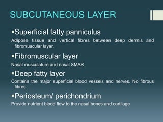SUBCUTANEOUS LAYER
§Superficial fatty panniculus
Adipose tissue and vertical fibres between deep dermis and
fibromuscular layer.
§Fibromuscular layer
Nasal musculature and nasal SMAS
§Deep fatty layer
Contains the major superficial blood vessels and nerves. No fibrous
fibres.
§Periosteum/ perichondrium
Provide nutrient blood flow to the nasal bones and cartilage
 