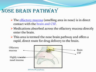 Nasal Drug Delivery System | PDF