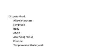 • 3.Lower third :
Alveolar process
Symphysis
Body
Angle
Ascending ramus
Condyle
Temporomandibular joint.
 