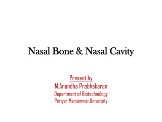 Nasal Bone & Nasal Cavity

            Present by
      M.Anandha Prabhakaran
      Department of Biotechnology
      Periyar Maniammai University
 