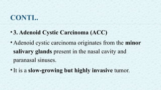 CONTI..
•3. Adenoid Cystic Carcinoma (ACC)
•Adenoid cystic carcinoma originates from the minor
salivary glands present in the nasal cavity and
paranasal sinuses.
•It is a slow-growing but highly invasive tumor.
 