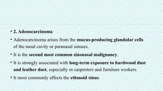 • 2. Adenocarcinoma
• Adenocarcinoma arises from the mucus-producing glandular cells
of the nasal cavity or paranasal sinuses.
• It is the second most common sinonasal malignancy.
• It is strongly associated with long-term exposure to hardwood dust
and leather dust, especially in carpenters and furniture workers.
• It most commonly affects the ethmoid sinus.
 