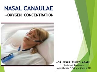 NASAL CANAULAE
--OXYGEN CONCENTRATION
--DR. NISAR AHMED ARAIN
Assistant Professor
Anesthesia / Critical Care / ER
 