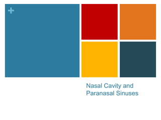 +




    Nasal Cavity and
    Paranasal Sinuses
 