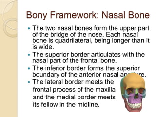 Bonye Process Nasal cavity and paranasal sinuses | PPTX