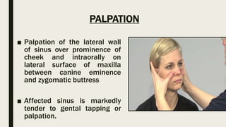 Sinus Tapping Nasal cavity and paranasal sinuses | PPTX