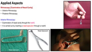 nasal_cavity_II[1].pptx