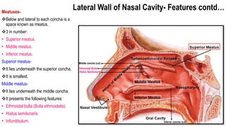 nasal_cavity_II[1].pptx