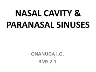 NASAL CAVITY &
PARANASAL SINUSES
ONANUGA I.O.
BMS 2.1
 
