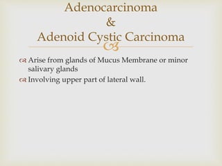 
 Arise from glands of Mucus Membrane or minor
salivary glands
 Involving upper part of lateral wall.
Adenocarcinoma
&
Adenoid Cystic Carcinoma
 