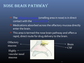 Nasal Drug Delivery System | PPT