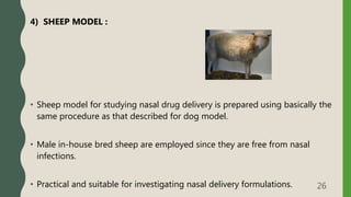 4) SHEEP MODEL :
• Sheep model for studying nasal drug delivery is prepared using basically the
same procedure as that described for dog model.
• Male in-house bred sheep are employed since they are free from nasal
infections.
• Practical and suitable for investigating nasal delivery formulations. 26
 