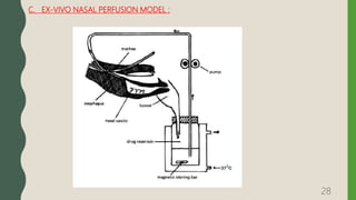 C. EX-VIVO NASAL PERFUSION MODEL :
28
 