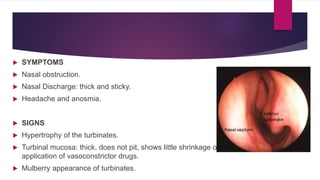  SYMPTOMS
 Nasal obstruction.
 Nasal Discharge: thick and sticky.
 Headache and anosmia.
 SIGNS
 Hypertrophy of the turbinates.
 Turbinal mucosa: thick, does not pit, shows little shrinkage on
application of vasoconstrictor drugs.
 Mulberry appearance of turbinates.
 