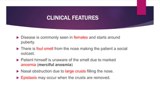 CLINICAL FEATURES
 Disease is commonly seen in females and starts around
puberty.
 There is foul smell from the nose making the patient a social
outcast.
 Patient himself is unaware of the smell due to marked
anosmia (merciful anosmia)
 Nasal obstruction due to large crusts filling the nose.
 Epistaxis may occur when the crusts are removed.
 