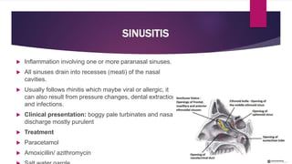 SINUSITIS
 Inflammation involving one or more paranasal sinuses.
 All sinuses drain into recesses (meati) of the nasal
cavities.
 Usually follows rhinitis which maybe viral or allergic, it
can also result from pressure changes, dental extractions
and infections.
 Clinical presentation: boggy pale turbinates and nasal
discharge mostly purulent
 Treatment
 Paracetamol
 Amoxicillin/ azithromycin
 