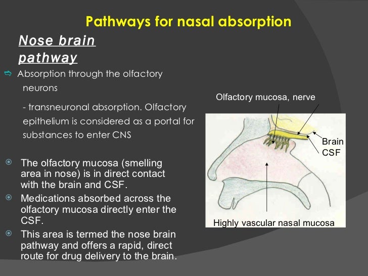 topical applications and the mucosa current problems in dermatology vol 40