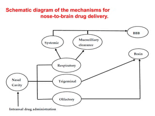 Nasal drug delivery systems powerpoint presentation | PPTX
