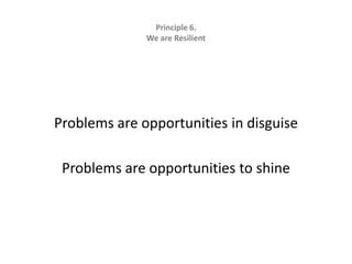 Principle 6.   We are ResilientProblems are opportunities in disguiseProblems are opportunities to shine