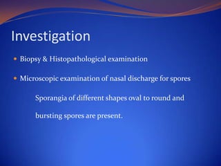 Investigation
 Biopsy & Histopathological examination
 Microscopic examination of nasal discharge for spores

Sporangia of different shapes oval to round and
bursting spores are present.

 