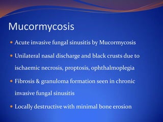 Mucormycosis
 Acute invasive fungal sinusitis by Mucormycosis
 Unilateral nasal discharge and black crusts due to

ischaemic necrosis, proptosis, ophthalmoplegia
 Fibrosis & granuloma formation seen in chronic

invasive fungal sinusitis
 Locally destructive with minimal bone erosion

 