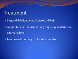 Treatment
 Surgical debridement of necrotic debris
 Amphotericin B infusion: 1 mg / kg / day IV daily / on

alternate days
 Itraconazole: 100 mg BD for 6-12 months

 