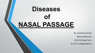 Diseases
of
NASAL PASSAGE
By- Subhangi Shukla
RB200058270016
M.Sc Zoology II sem
R.G.P.G.College Meerut
 