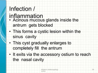Infection /
inflammation
drtbalu's otolaryngology
online
39
• Acinous mucous glands inside the
antrum gets blocked
• This forms a cystic lesion within the
sinus cavity
• This cyst gradually enlarges to
completely fill the antrum
• It exits via the accessory ostium to reach
the nasal cavity
 