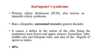 Kartagener’s syndrome:
• Primary ciliary dyskinesia (PCD), also known as
immotile ciliary syndrome.
• Rare, ciliopathic, autosomal recessive genetic disorder.
• It causes a defect in the action of the cilia lining the
respiratory tract (lower and upper, sinuses, Eustachian tube,
middle ear) and fallopian tube, and also of the flagella of
sperm in males.
• 40%
 