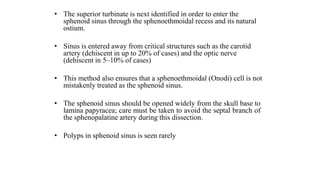 • The superior turbinate is next identified in order to enter the
sphenoid sinus through the sphenoethmoidal recess and its natural
ostium.
• Sinus is entered away from critical structures such as the carotid
artery (dehiscent in up to 20% of cases) and the optic nerve
(dehiscent in 5–10% of cases)
• This method also ensures that a sphenoethmoidal (Onodi) cell is not
mistakenly treated as the sphenoid sinus.
• The sphenoid sinus should be opened widely from the skull base to
lamina papyracea; care must be taken to avoid the septal branch of
the sphenopalatine artery during this dissection.
• Polyps in sphenoid sinus is seen rarely
 