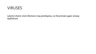 VIRUSES
Latent/ chonic viral infections may predispose, as they break upper airway
epithelium
 