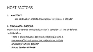 HOST FACTORS
1. ANATOMY-
acq obstruction of OMC, traumatic or infectious--> CRSwNP
2. MECHANICAL BARRIER-
mucocillary clearance and apical junctional complex- 1st line of defence
In CRSwNP-->
There is altered level of adhesion-complex proteins &
low levels of intrinsic protective antiprotease activity
Mucocilliary dysfn- CRSsNP
Porous barrier- CRSwNP
 